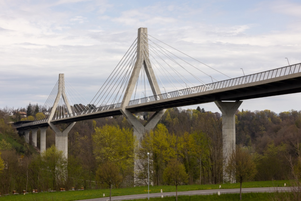 Poya Suspension Bridge