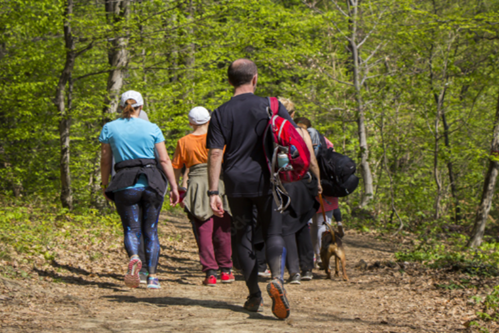 Hiking and Nature Walks