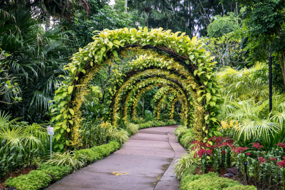 Botanical Garden