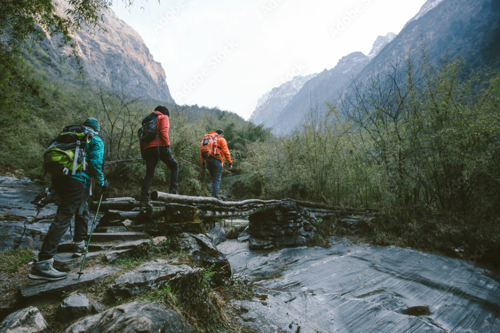 Hiking in Halahult Nature Reserve