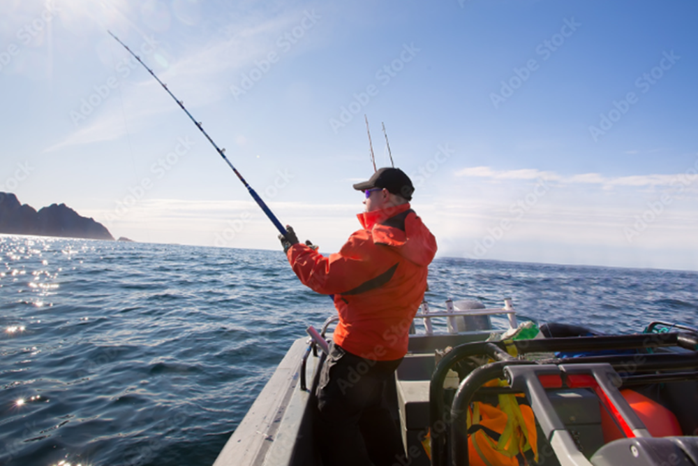 Fishing Excursions