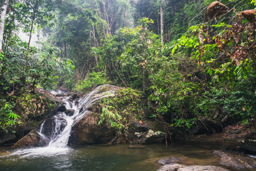 Khao Lak-Lam Ru National Park