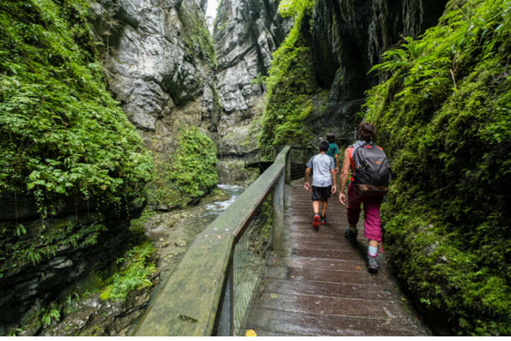 Pirineos Natural Park