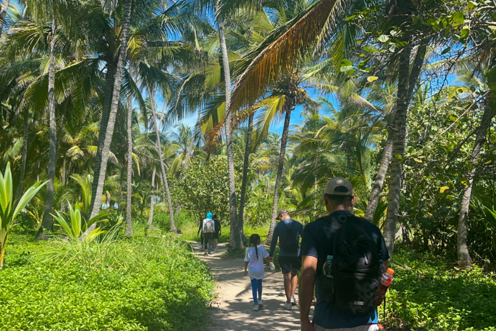 Hiking in Parque Nacional Natural Tayrona