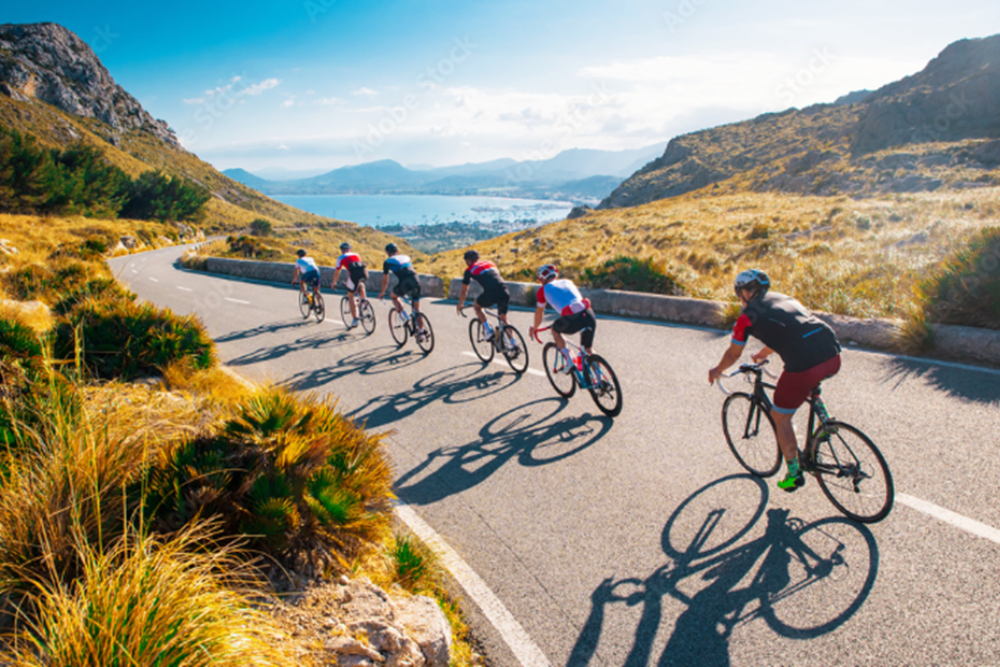 Hiking and Biking: