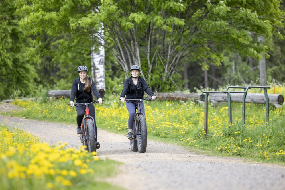 Hiking and Biking on Puijo Hill: