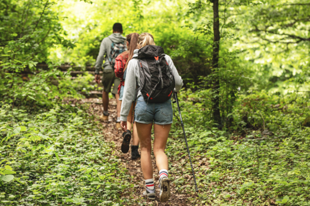Hiking