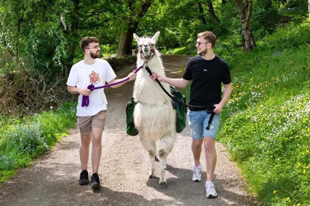 Take a Wildlife Safari in the Nidderdale Area of Outstanding Natural Beauty