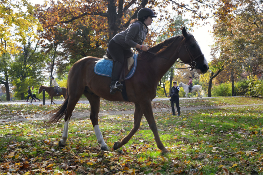 York Outskirts on Horseback