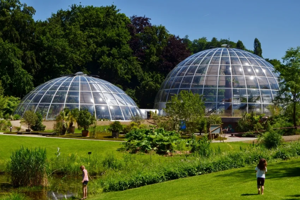 Zurich Botanical Garden