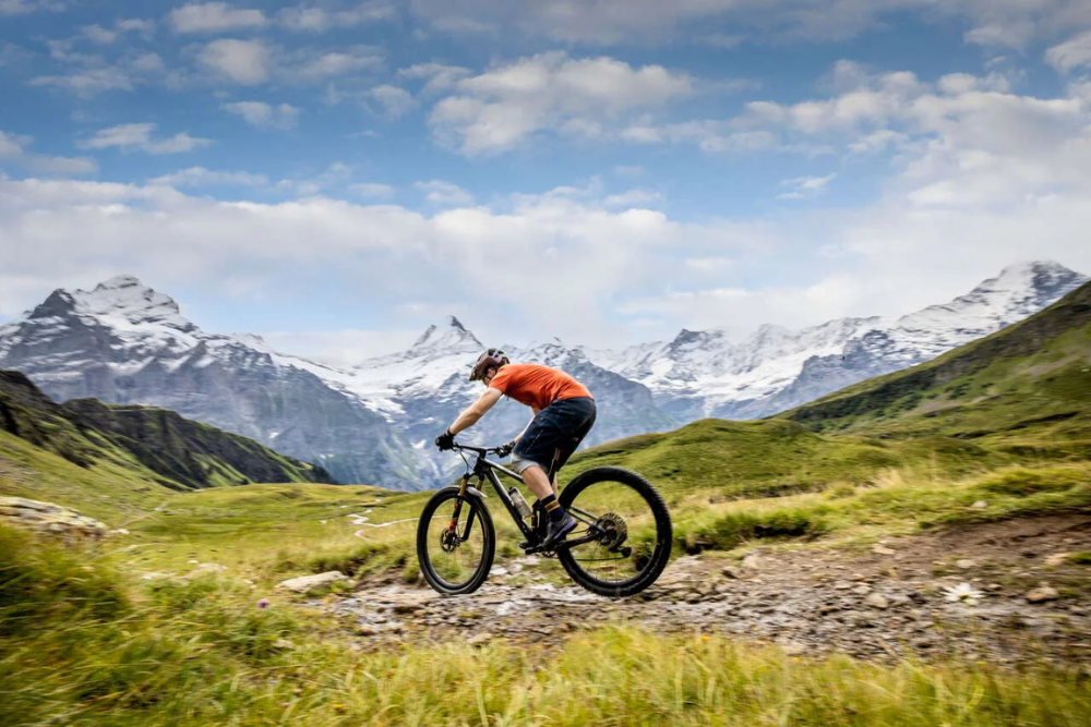 Hiking and Mountain Biking