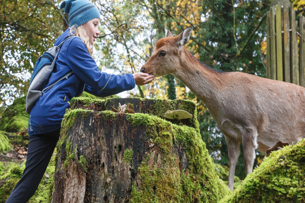 Natur- und Tierpark Goldingen