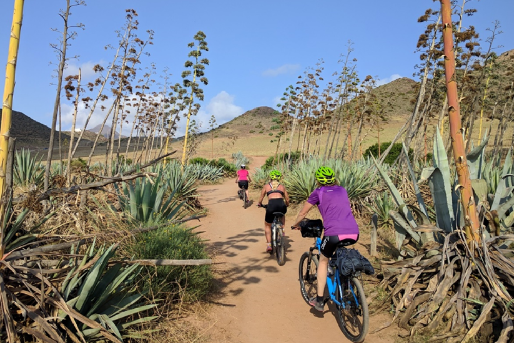 Hiking and Biking in Cabo de Gata