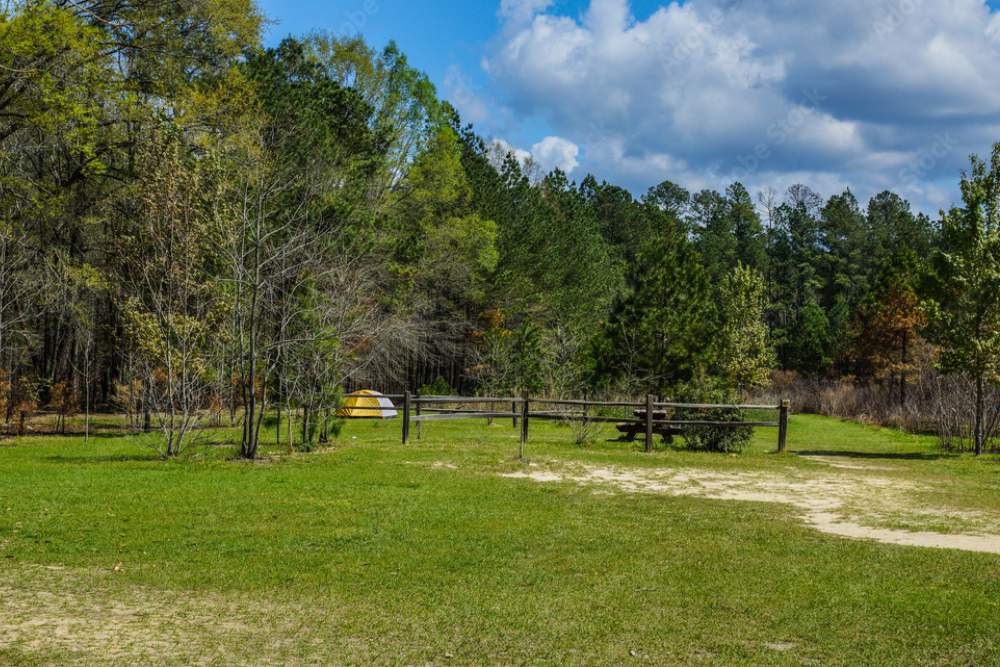 Congaree Public Park