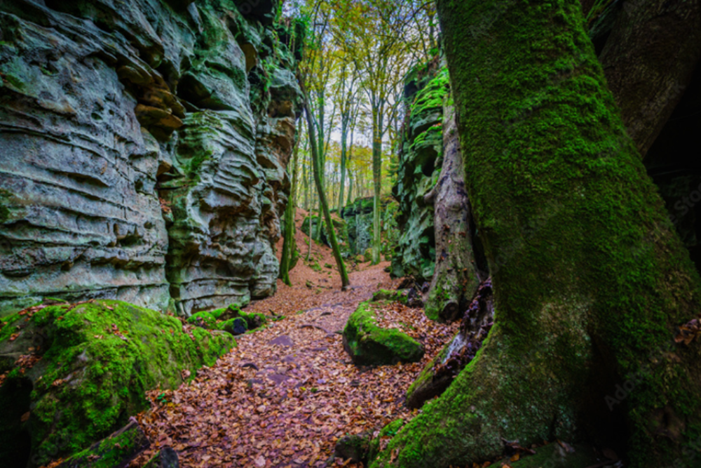 Devil's Canyon (Teufelsschlucht)