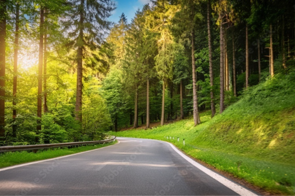 Hike in the Odenwald Forest