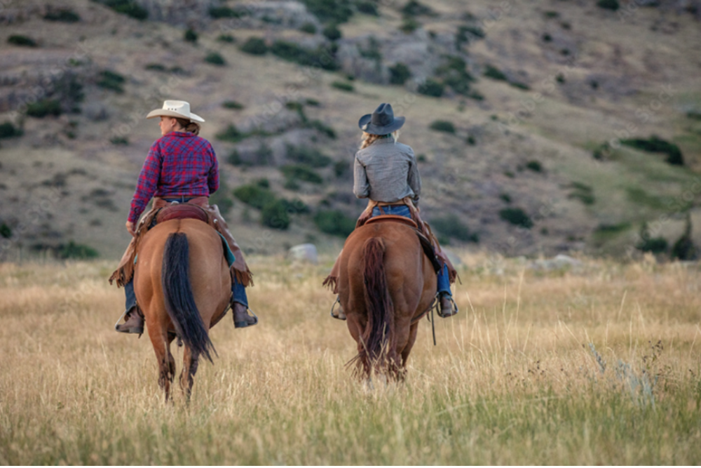 Horseback Riding Tours