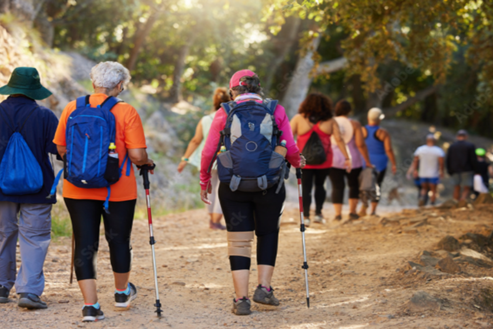 Hiking and Nature Walks