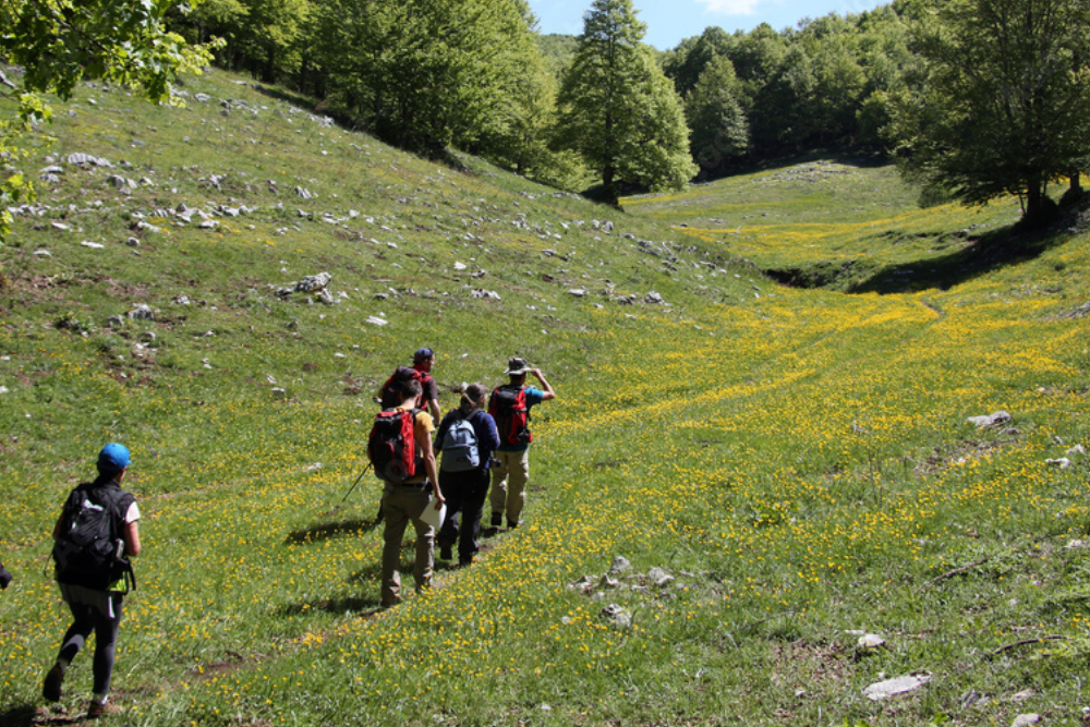 Hiking Monte Pellegrino: