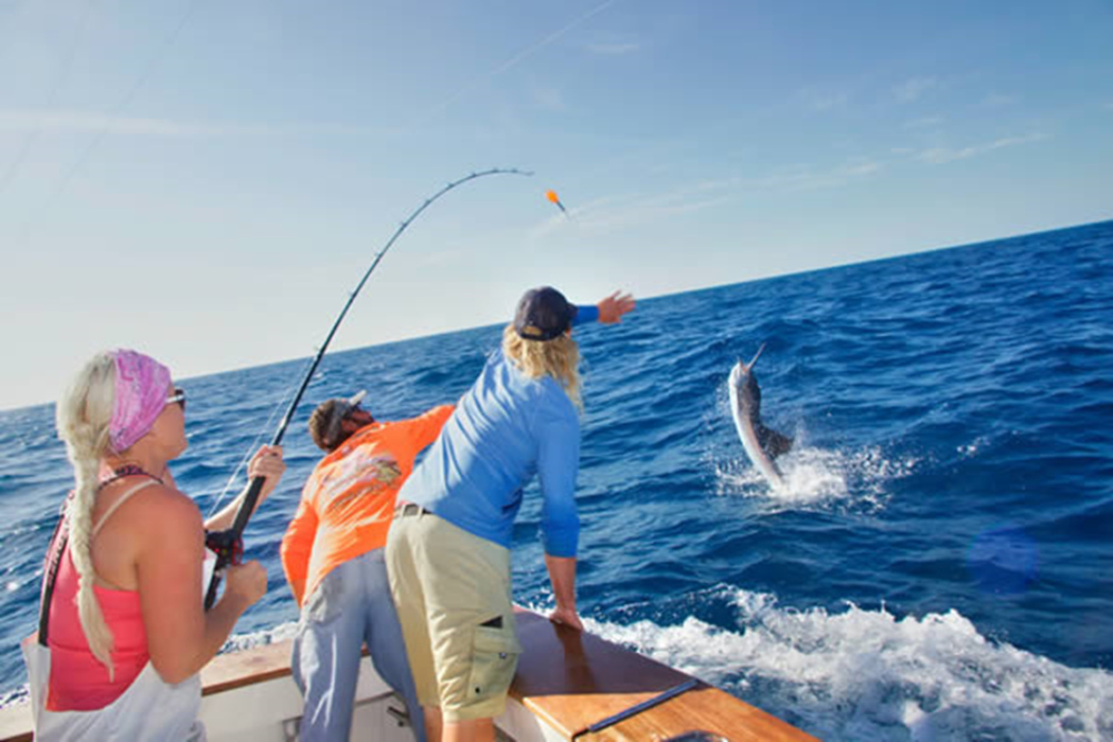 Fishing Trips