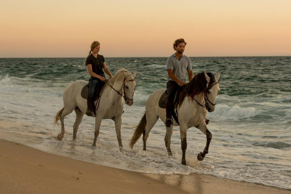 Horseback Riding on the Beach