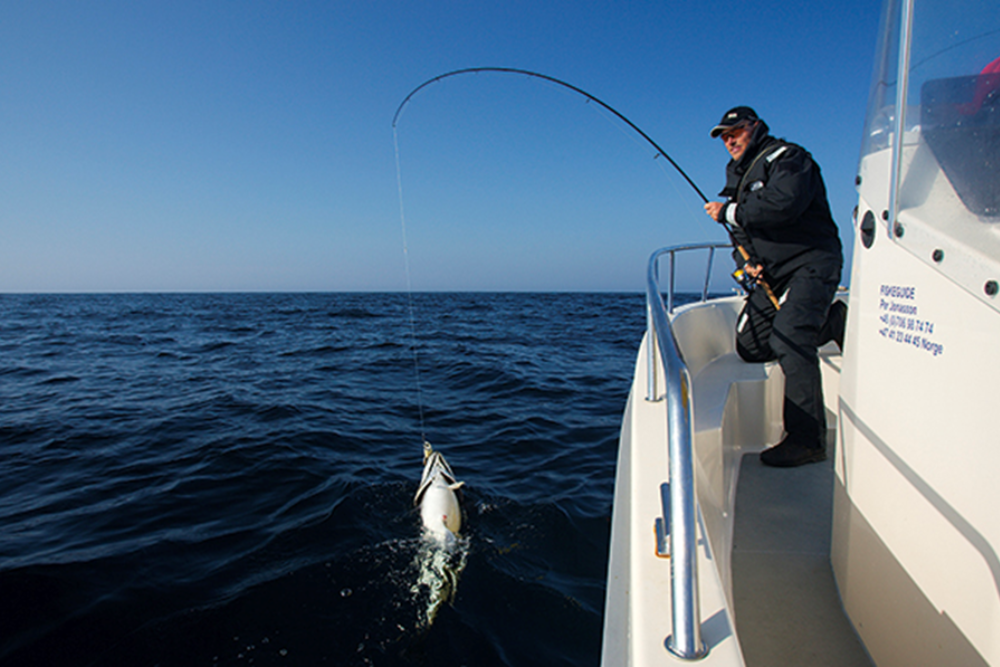 Fishing