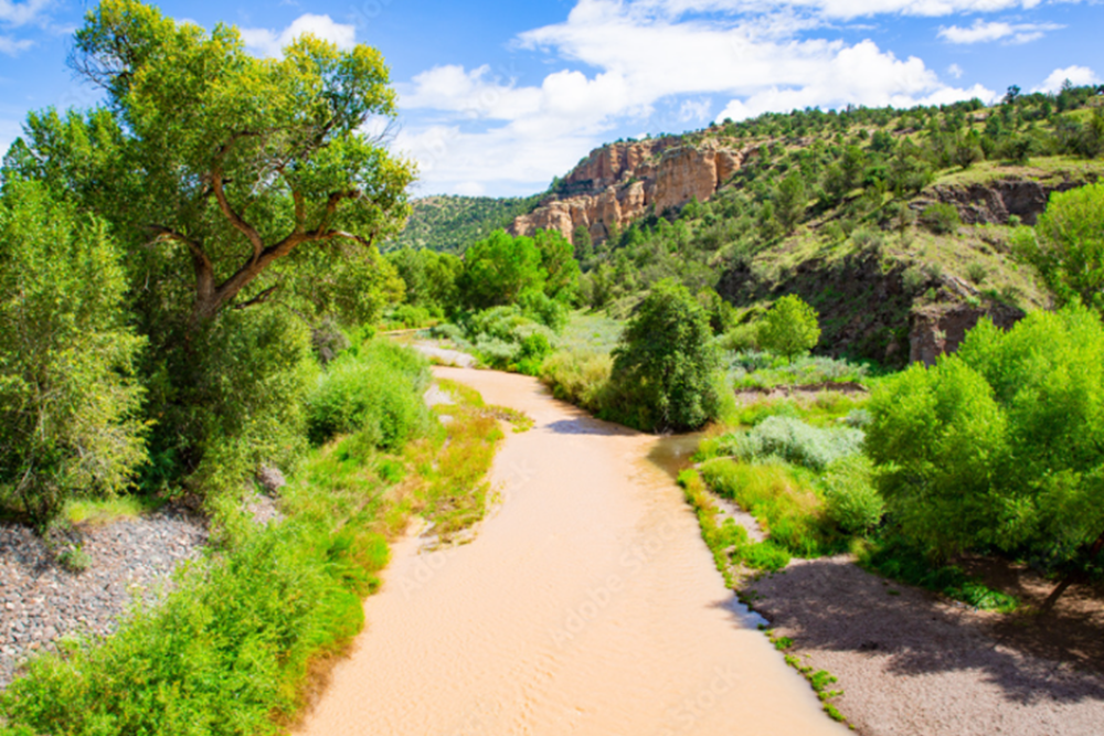 Gila Wilderness