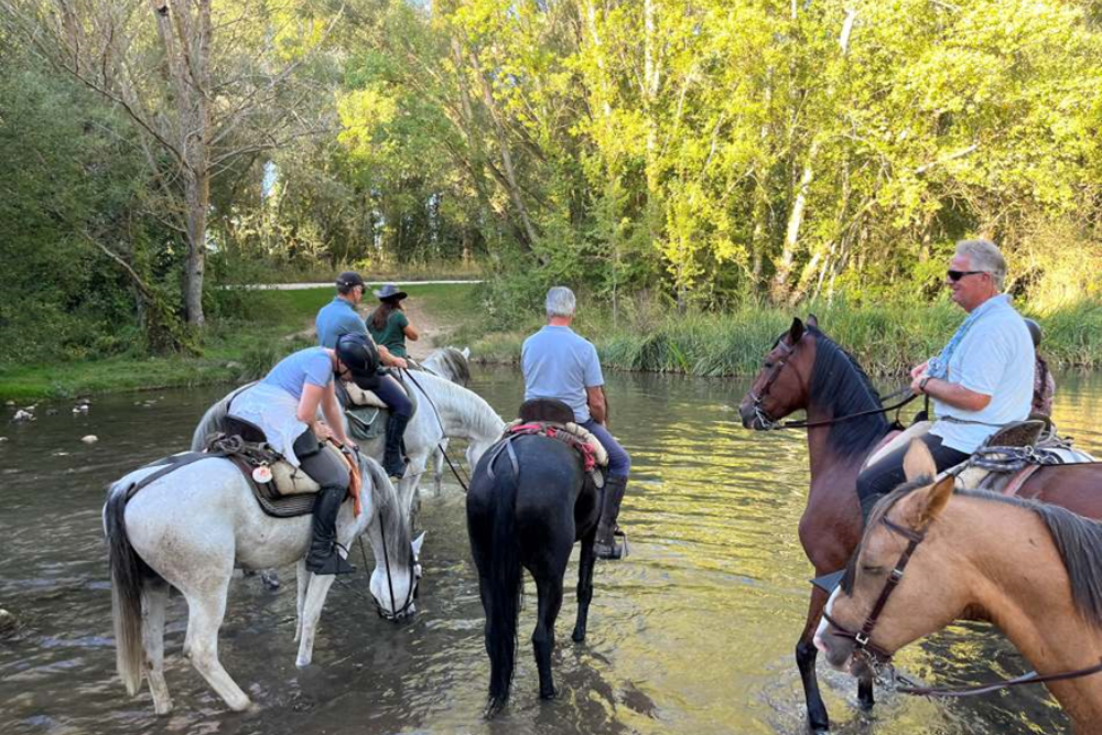 Horseback Riding Through the Galician Trails