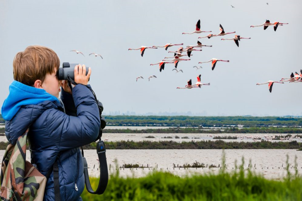 Bird Watching at the Nature Reserve