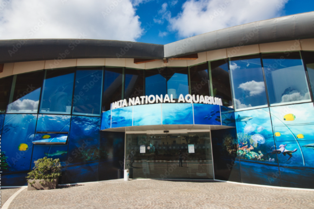 Malta National Aquarium