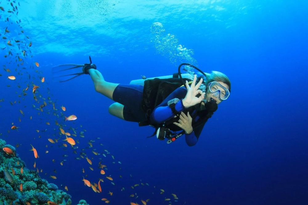 Scuba Diving and Snorkeling
