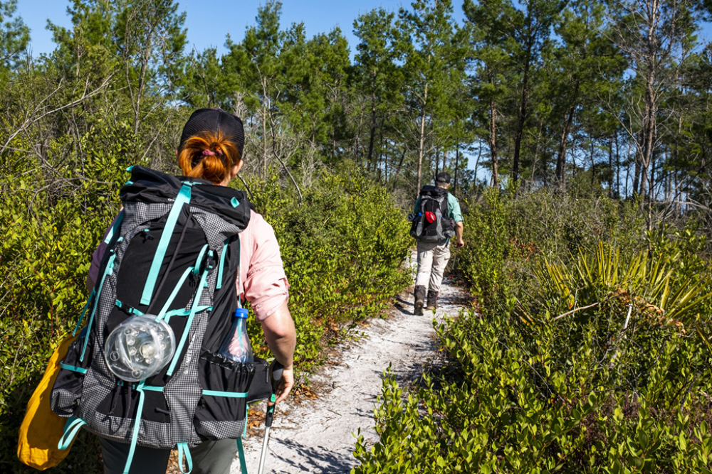 Hiking in Ocala National Forest