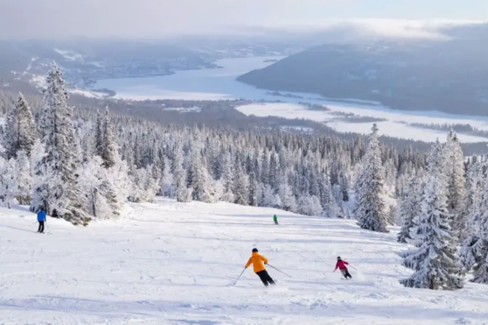 Winter Sports