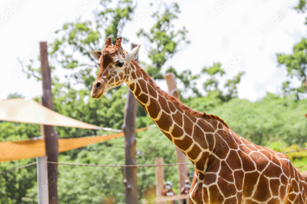 The Maryland Zoo in Baltimore