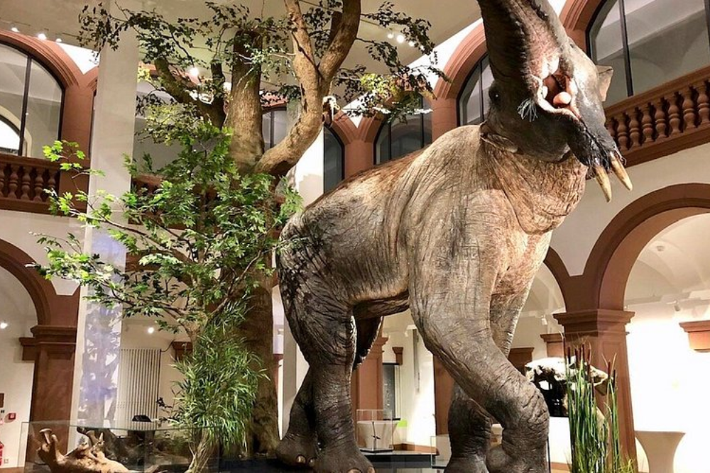 Museums and Galleries