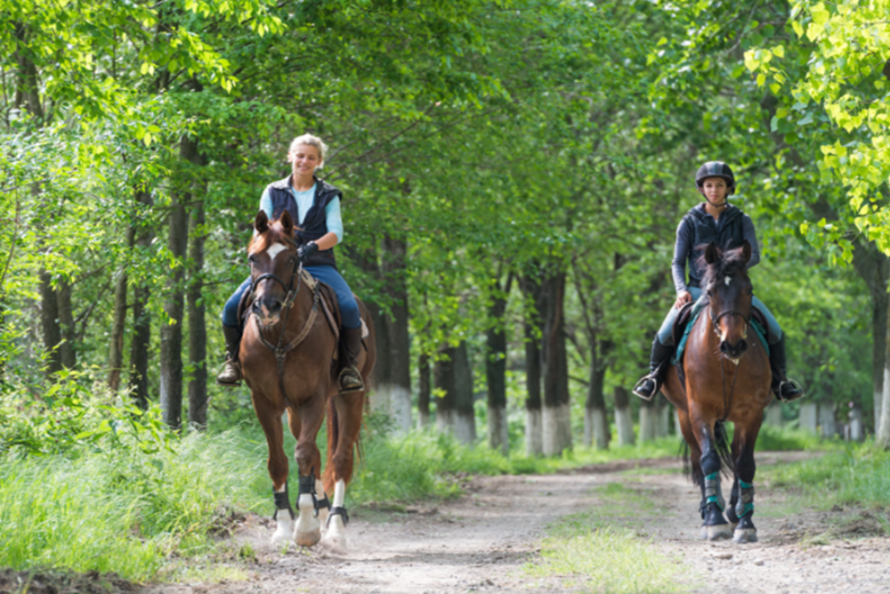 Horseback Riding