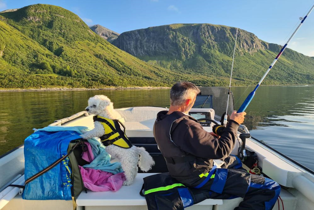 Fishing in Trondheim Fjord