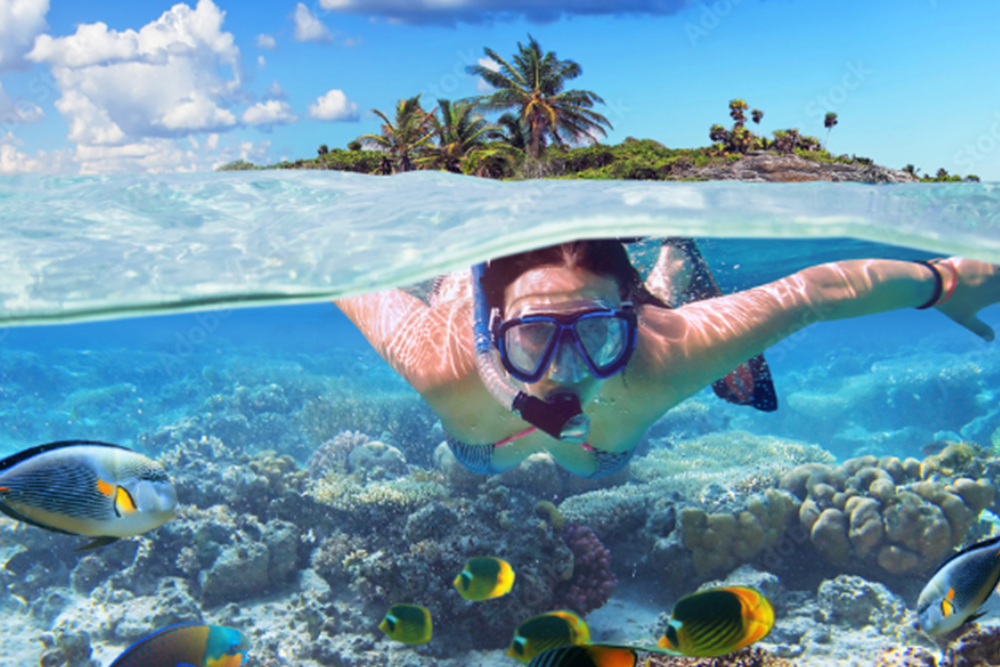 Snorkeling and Diving