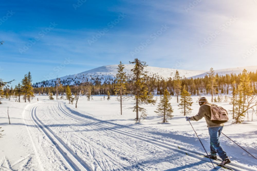 Cross-Country Skiing