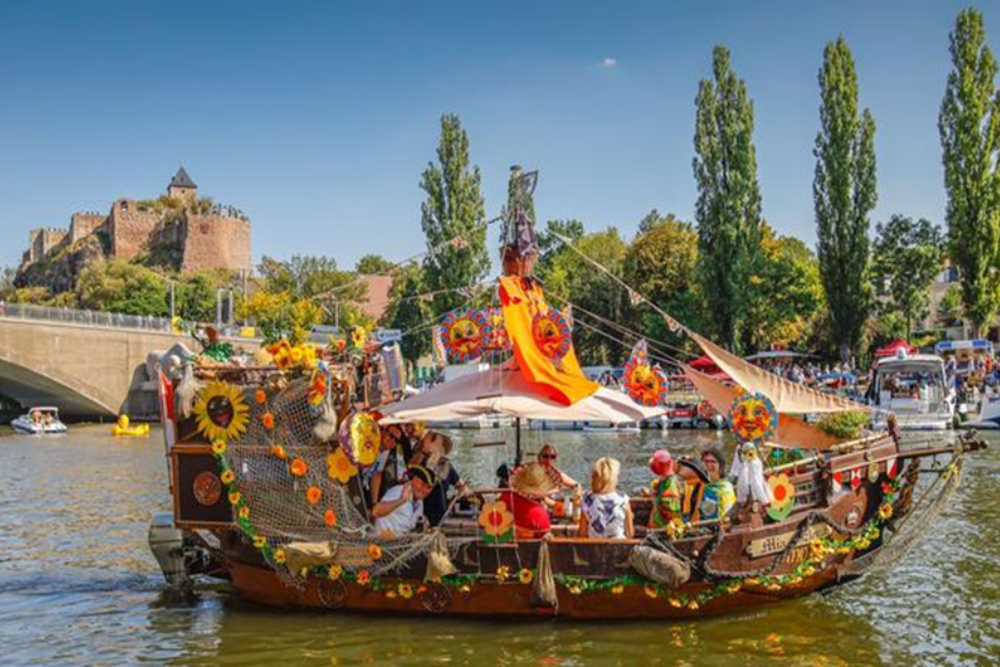 Halle Saale Festival