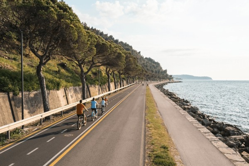 Biking the Streets and Countryside