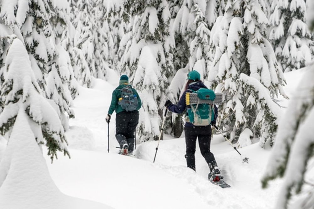 Winter Sports