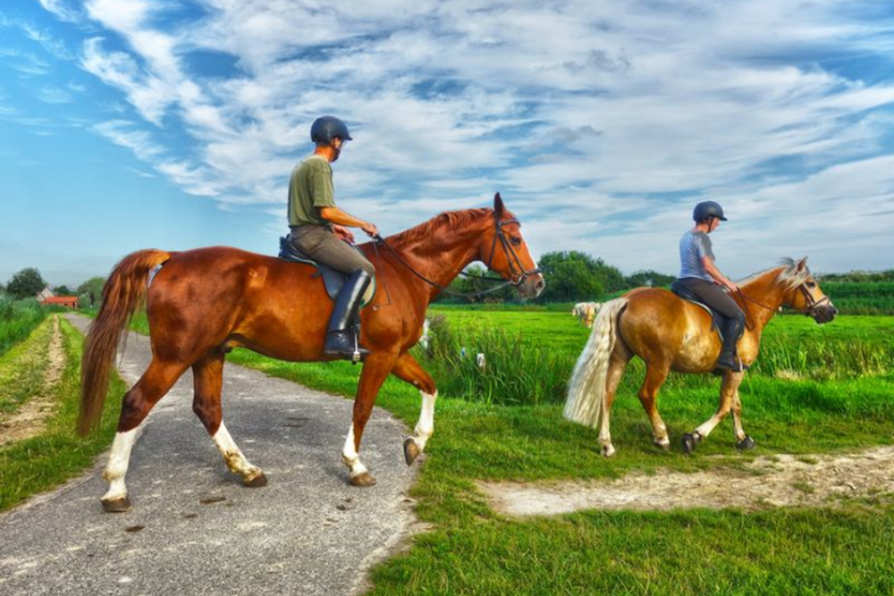 Horseback Riding