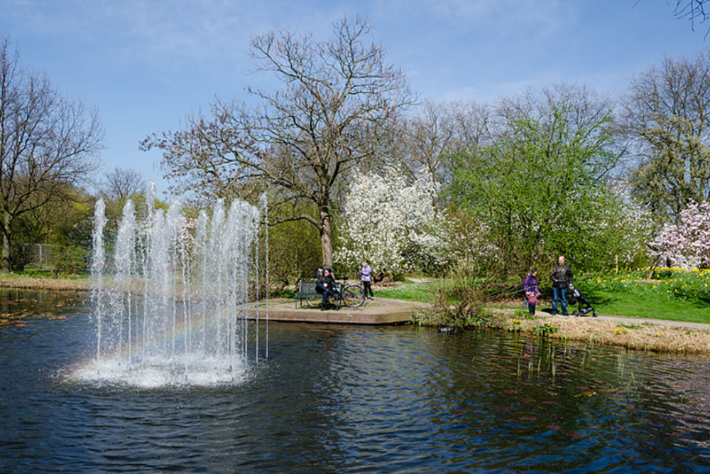 Muga Park: