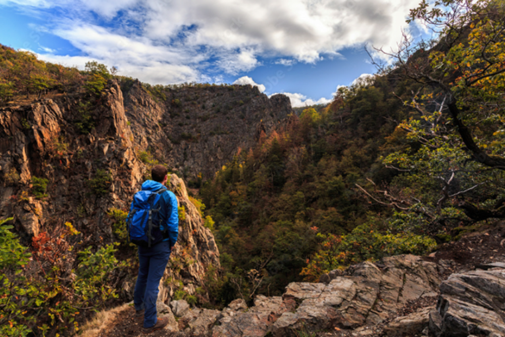 Hiking in the Harz: