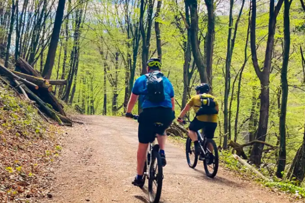 Cycling and Walking Trails: