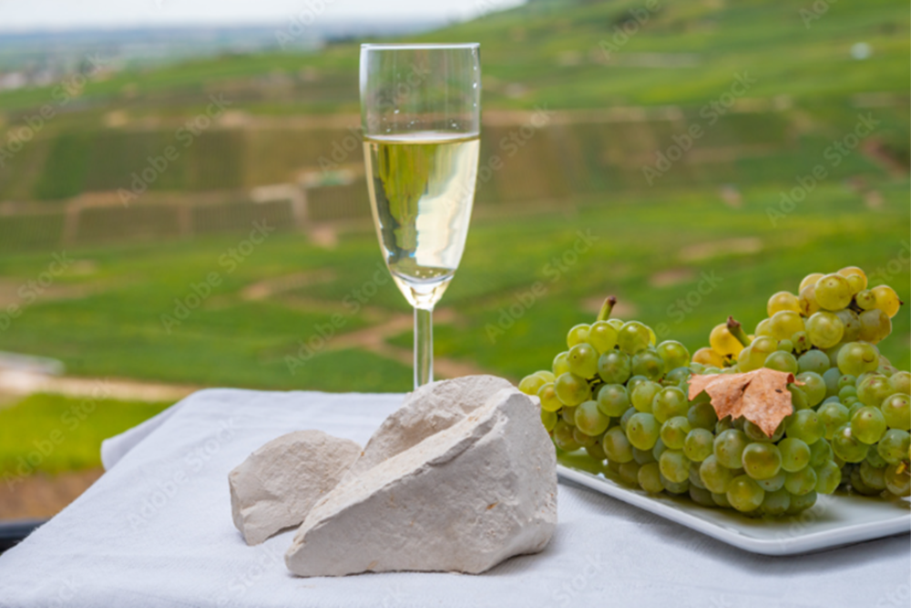Wine Tours