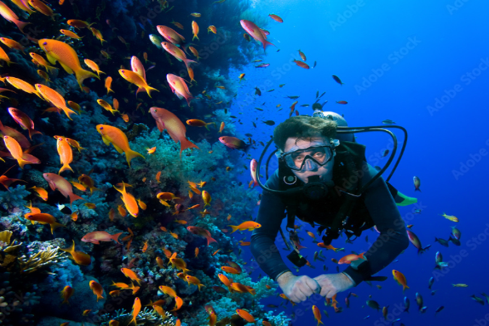 Diving
