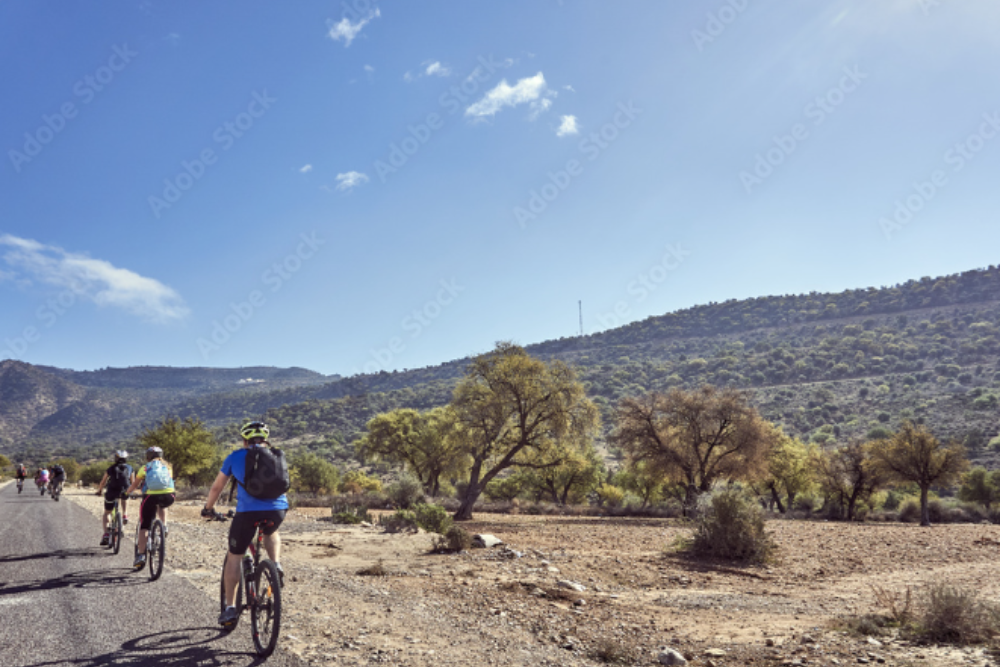 Cycling and Walking Tours