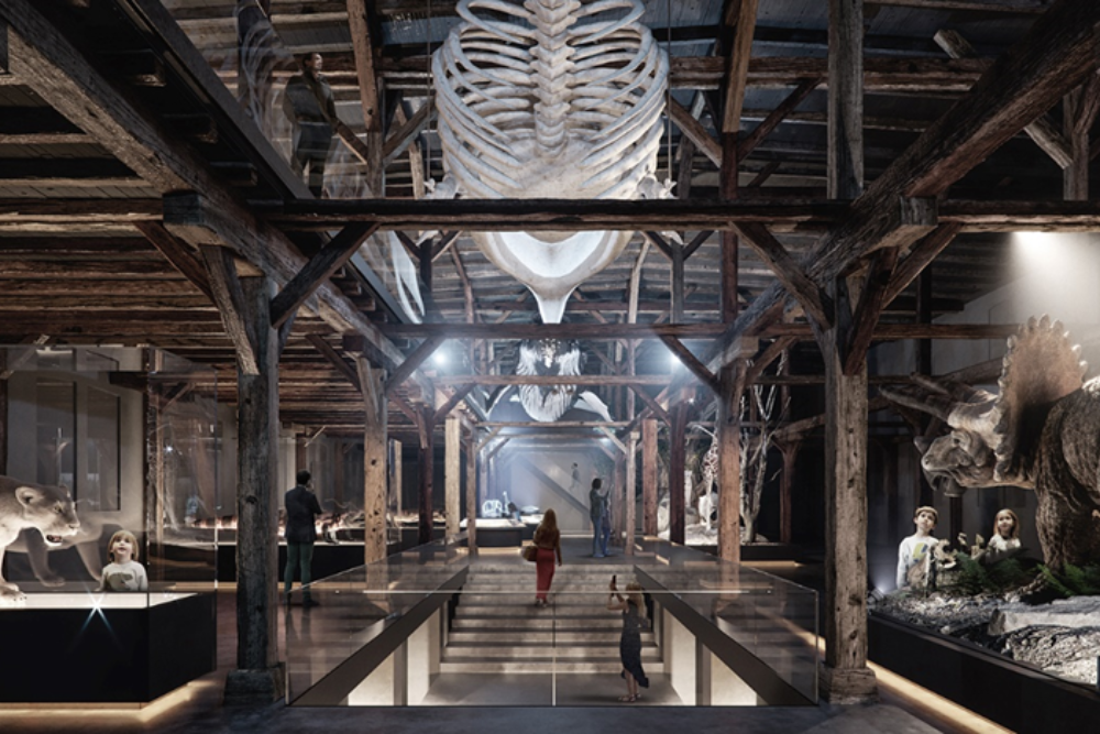 Natural History Museum of Fribourg